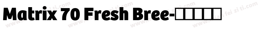 Matrix 70 Fresh Bree字体转换